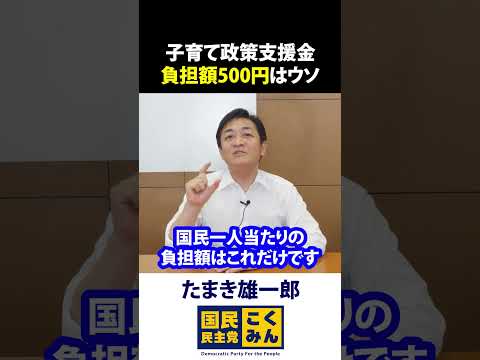 子育て支援金 負担額約500円はごまかし 玉木雄一郎