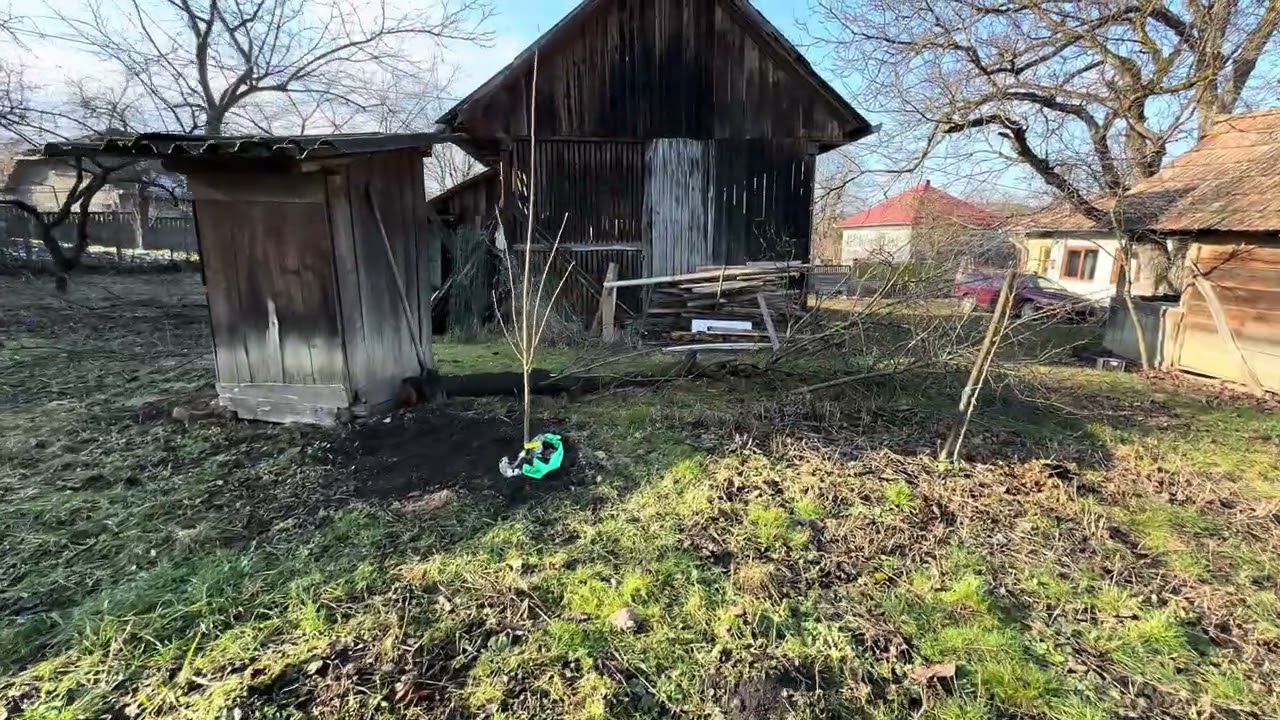 Am înlocuit din pomi în livada de la casa veche 
