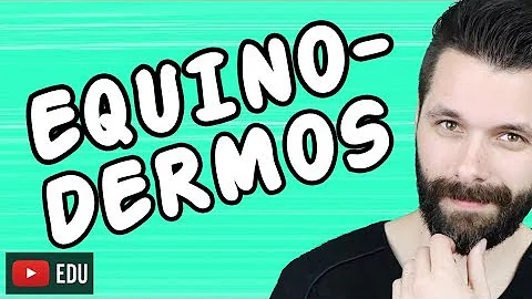 Como é o corpo de um equinodermos?