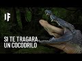 ¿Qué pasaría si te tragara un cocodrilo?