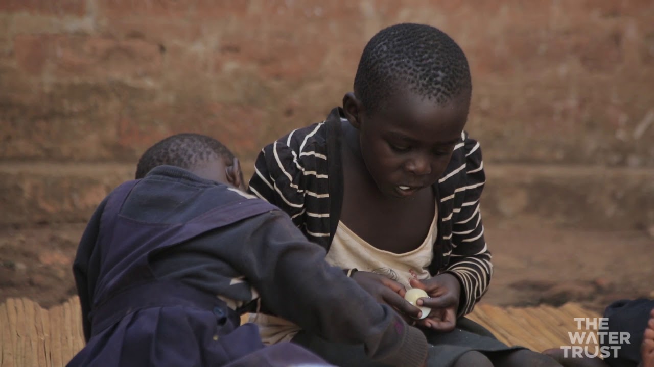 The impact of chickens on child health in rural Uganda (short summary)