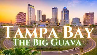 Tampa Florida Travel Guide 4K