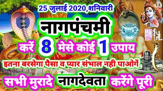 25 जुलाई शनिवारी नागपंचमी करें 8 मेसे कोई 1 उपाय खुब बरसेगा पैसा प्यार,सभी मुरादे नागदेव करेंगे पूरी