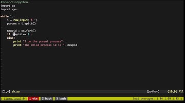 What happens when you type a command in the terminal?