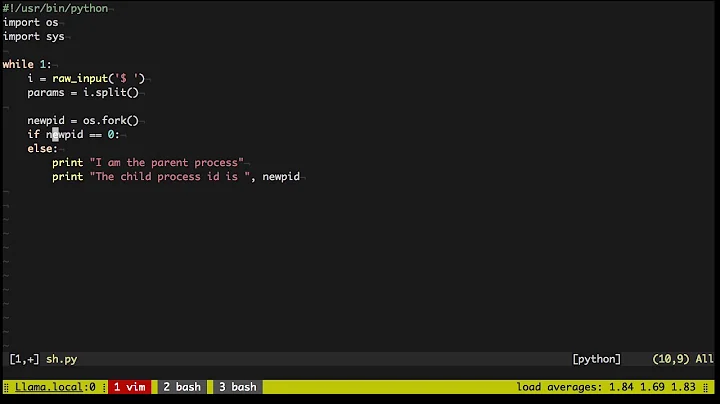 What happens when you type a command in the terminal?