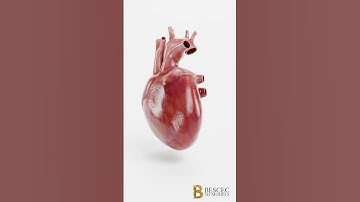 Heart Beating Animated