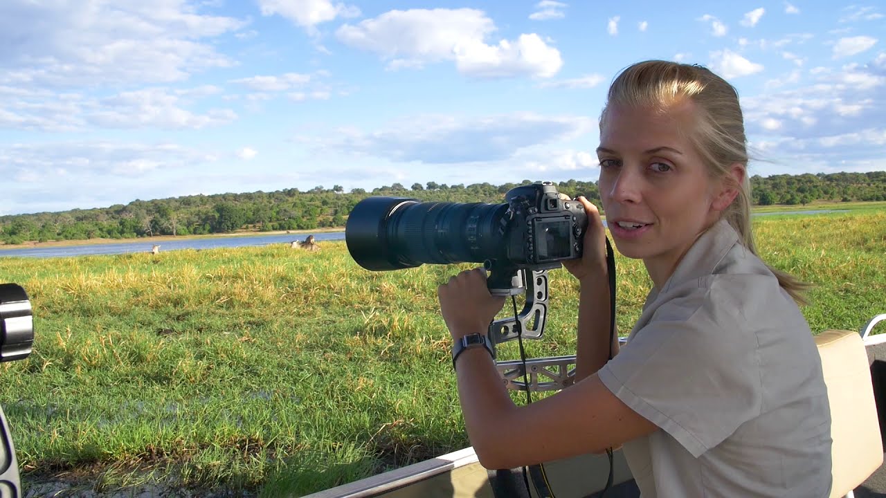 Photographing ELEPHANTS and BUFFALO at SUNSET