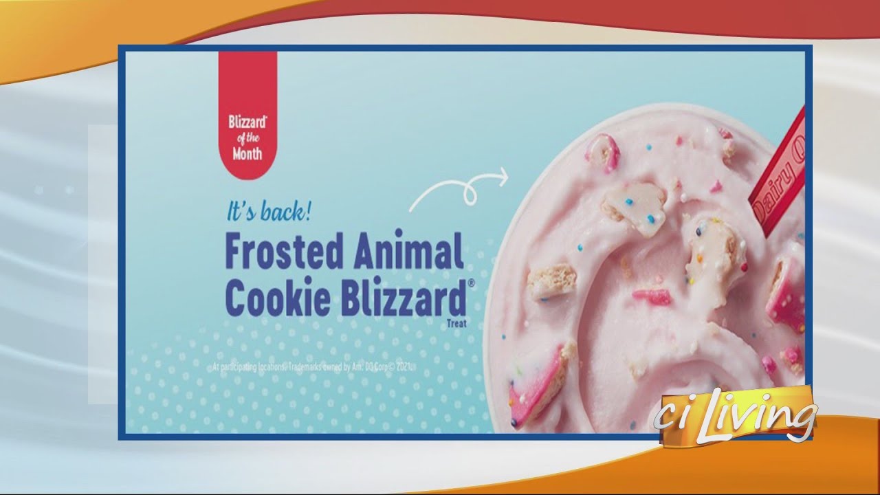 Dairy Queen Summer Blizzards YouTube