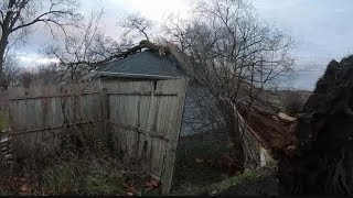Perrysburg Heights family ok after high winds bring massive tree down onto home