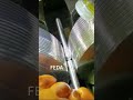 FEDA customized high precision worm thread rolling machine #machine #auto #custom #making #cnc #worm