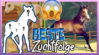 Willkommen zur BESTEN ZUCHTFOLGE . Ever. (bin hyped ) Rival Stars Horse Racing