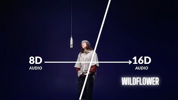 Billie Eilish - WILDFLOWER ‬(16D Audio "Not 8D")  COLORS Performance 🎧 Use Headphone 🎧