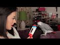 SEPTEMBER FAVOURITES (feat.  Kasuku The Talking Parrot )