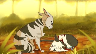 Warrior Cats || All Apprentice Deaths