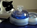 Snork & Cat-it