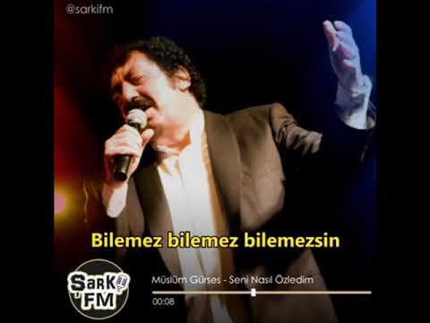 Müslüm Gürses - Seni Nasıl Özledim (instagram Kısa Şarkılar)