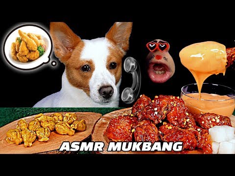 [ASMR MUKBANG] Chicken specially made for Puppy & Dog Real Sound Eating Show! 🐶🍗