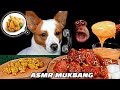 Asmr mukbang poulet spcialement conu pour puppy  dog 