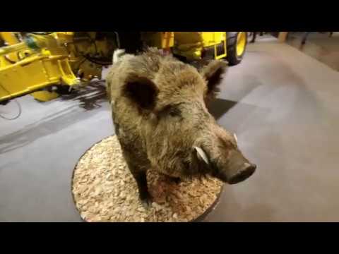 Міжнародна виставка «AGRITECHNICA