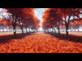 【VOCALOID5 Ken】紅葉【オリジナル曲】