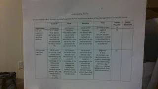Understanding Results-Concept Map Analytic Rubric-StanekBusch