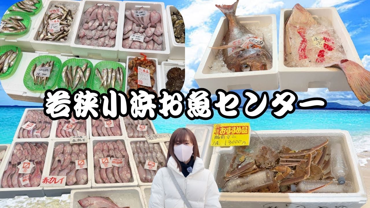 【激安】日本海最強の海鮮市場を見つけてしまいました…『若狭小浜お魚センター』#激安#市場#グルメ 