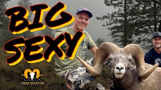 “Big Sexy”- 196”+ Giant Oregon Ram