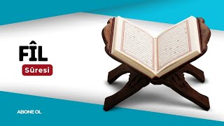 Fil Sûresi | Tecvidli Okunuş (Tane Tane)