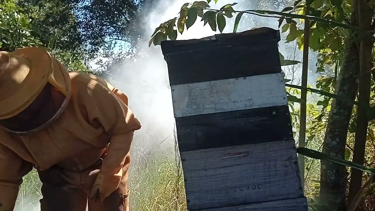 REVISÃO OBRIGATÓRIA NO SOBRENINHO