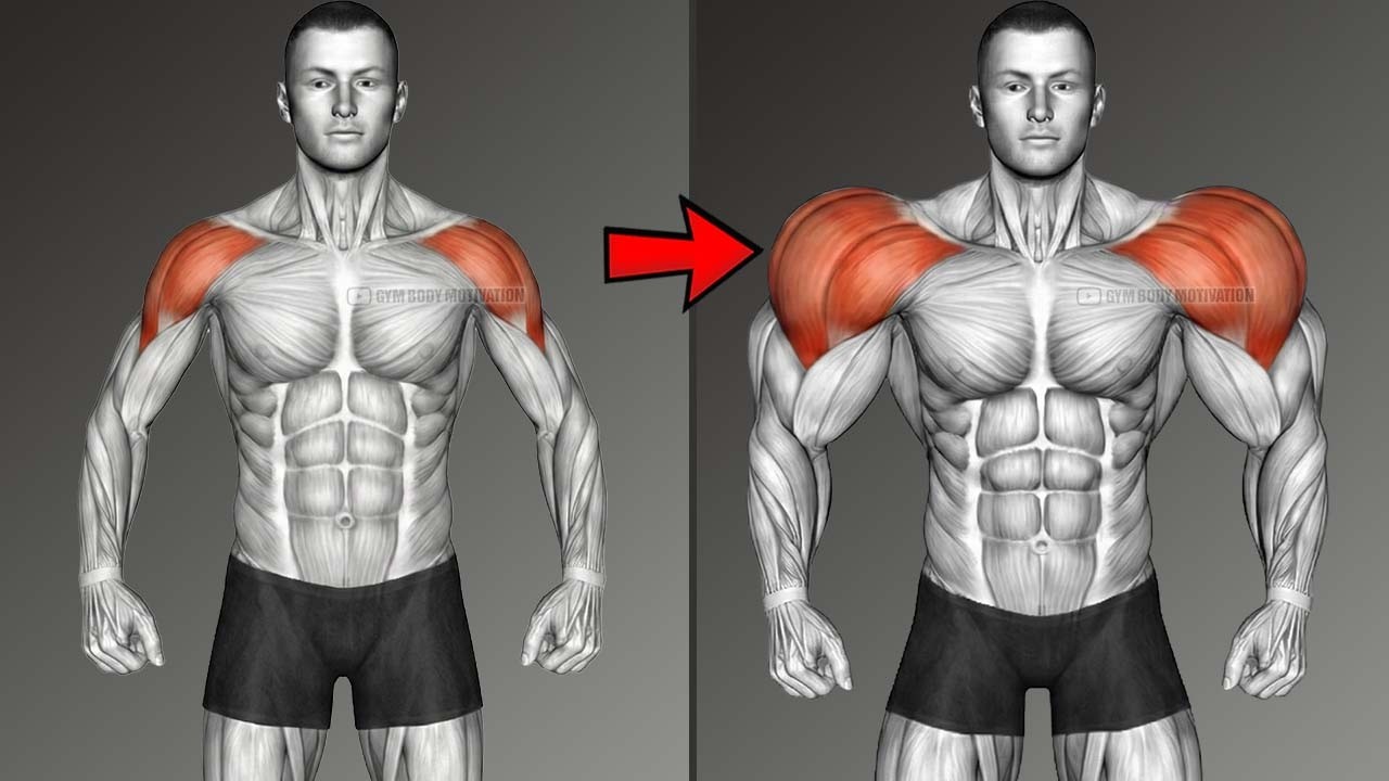 Развитие объёмных дельтовидных мышц: план из 5 упражнений для увеличения ширины.