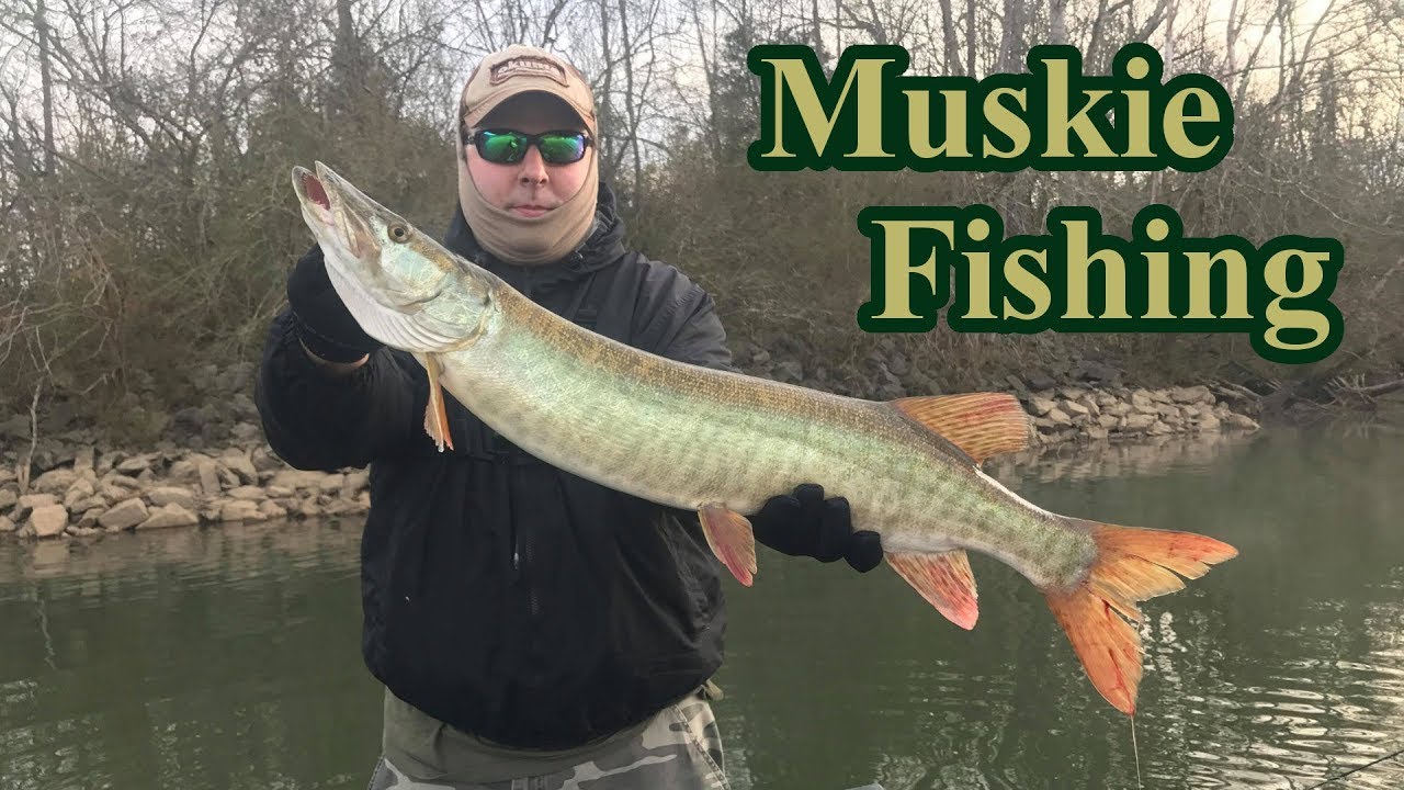 Musky Fishing with REAL Musky Lures!!! (New word invented) 