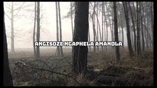 C.chaser x Ayanda_Angisoze Ngaphelamandla( Lyric Audio)
