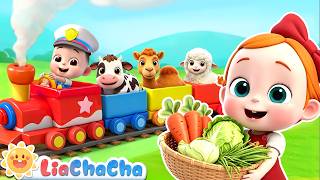 animal food train song animal song learn animals liachacha