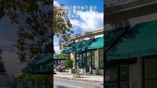 아이스 아메리카노랑 같이 듣는 주말 카페팝 🎼5시간 연속듣기 #playlist #플레이리스트 #카페음악