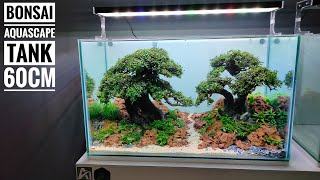 #203 Make two aquascape bonsai with red bojong stones