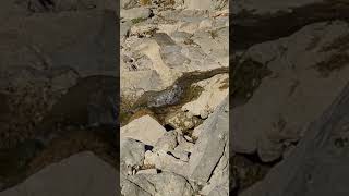 Мини водопад,приток Сочи, Солкан Словения