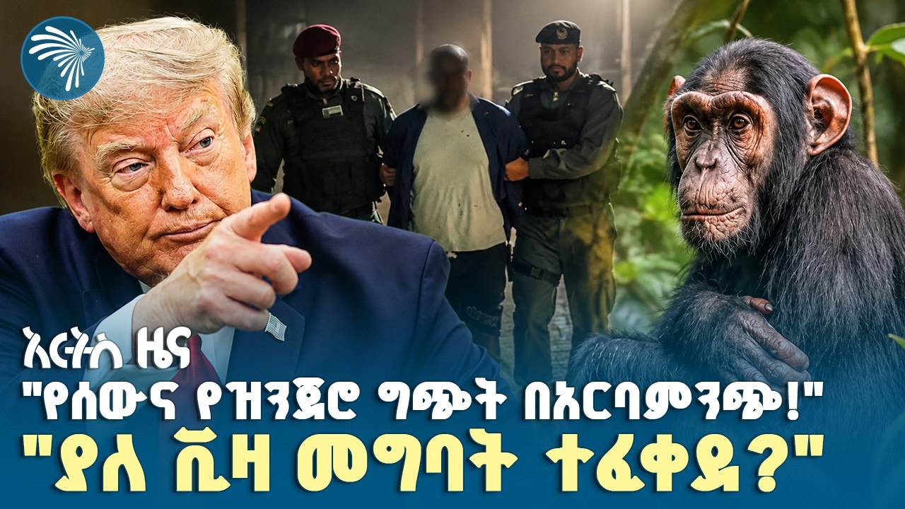 "አደገኞቹ የሰው አዘዋዋሪዎች በቁጥጥር ስር ዋሉ!"|የ ቅዳሜ፣ሐምሌ 11, 2018 ዜናዎቻችን| #ethiopia #ethiopianews #artsnews