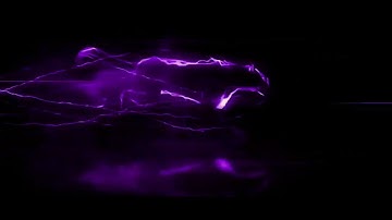 Run Panther Intro Template | Purple