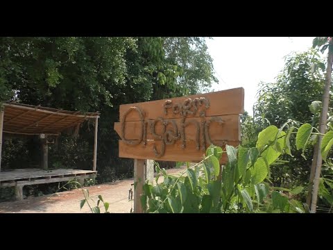 Видео: Автостоп Бангкок - Денчай. Волонтёрство в Organic Farmstay Denchai.