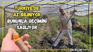 '35 yaşımda öldükten sonra hayatım değişti' Şimdi bu köyde sakince yaşıyor.