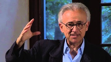 Antonio Damasio: The Brain-Creativity, Imagination & Innovation (excerpt) / Ross Summer Academy 2012