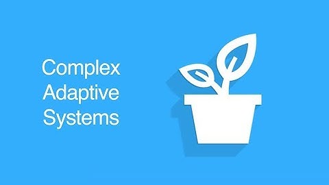 Adaptive Systems