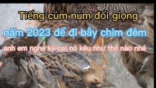 hoành Lê làm Tiếng cúm núm để đi bẫy chim đêm