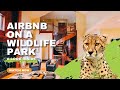 Take a virtual visit through a wildlife park airbnb