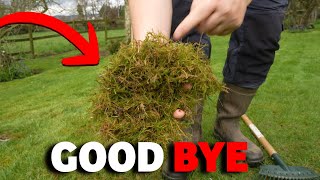 Best way to get rid of moss from ANY lawn