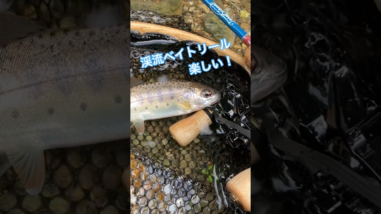 渓流ルアー】息抜きに釣り ヤマメさんでした！ - YouTube