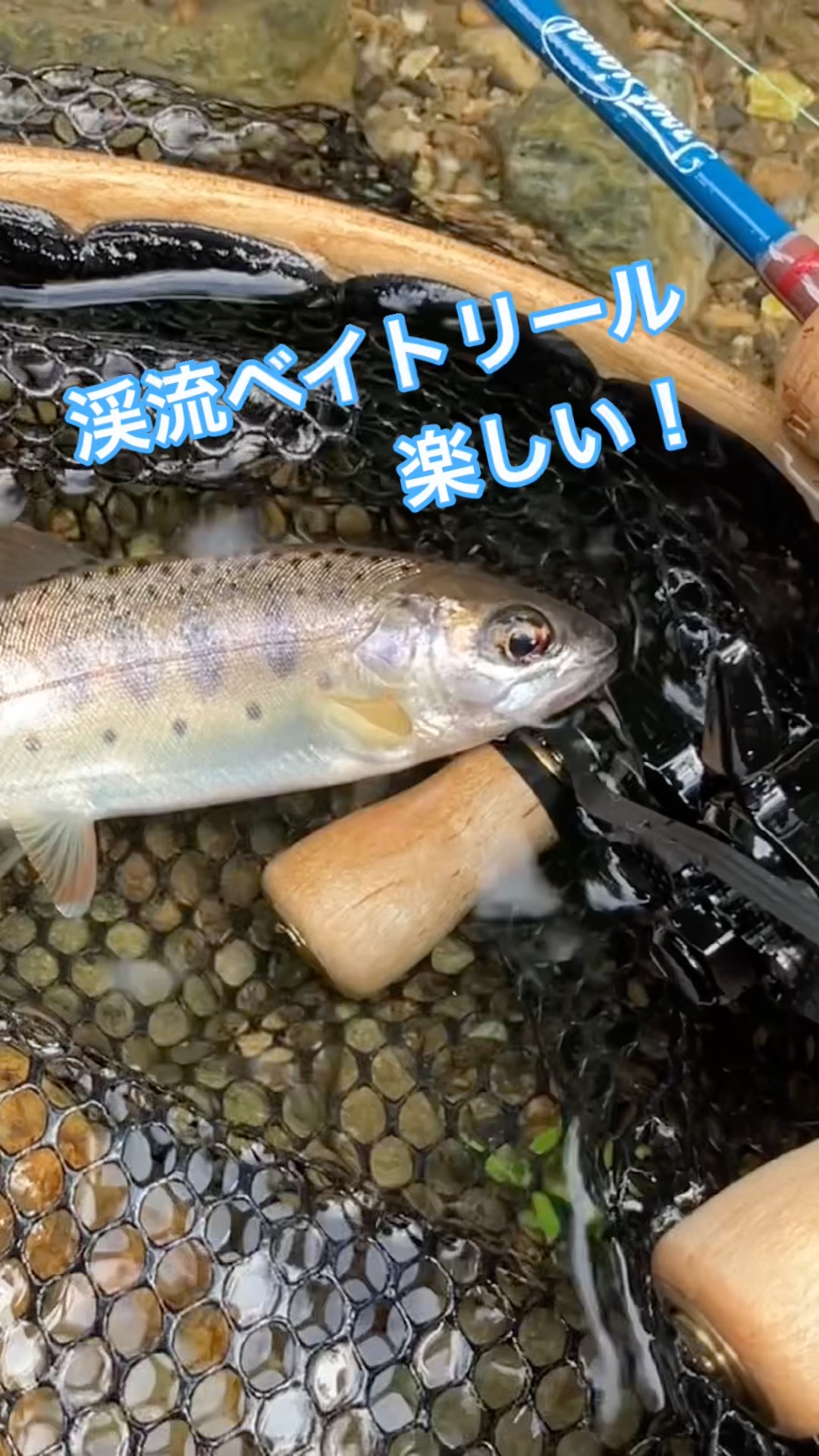 やまめ✩ 渓流ルアー】息抜きに釣り ヤマメさんでした！ - YouTube