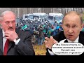 "А вас же предупреждали!" Европа дружно "проморгала гибридный штурм" орды мигрантов Лукашенко...