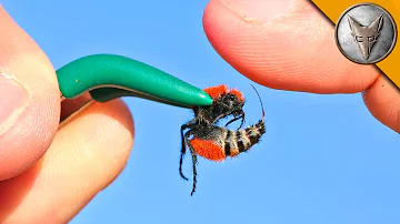 Jakie są objawy zatrucia amoniakiem?