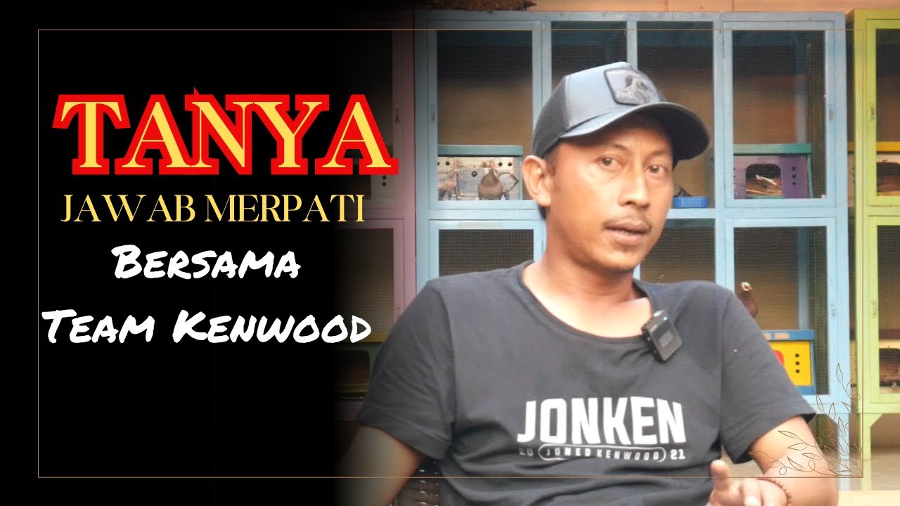 BINCANG SEPUTAR MERPATI BERSAMA TEAM KENWOOD